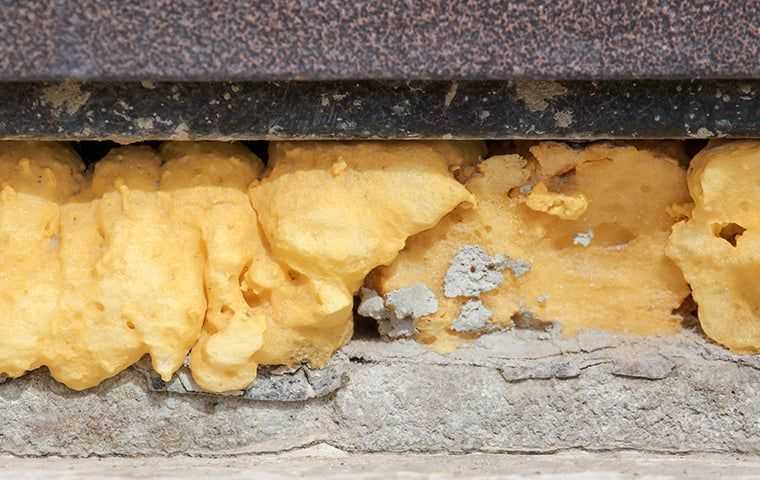 spray foam insulation