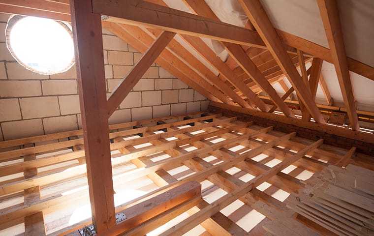 attic with window