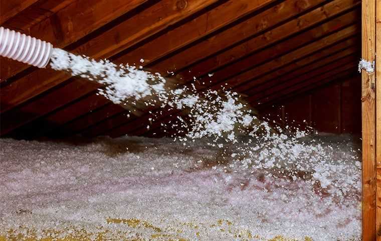 insulation in an attic